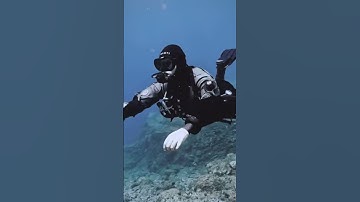 How often do you use the frog kick ? #diving #training #scuba #skills #howto