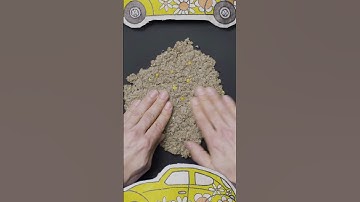 Here‘s your wild card! 💙