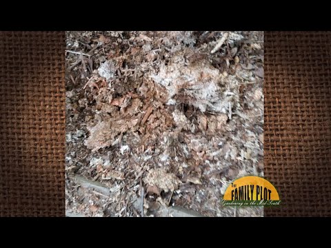 Video: Unused Bagged Mulch - Yuav Ua Li Cas Nrog Cov Mulch seem