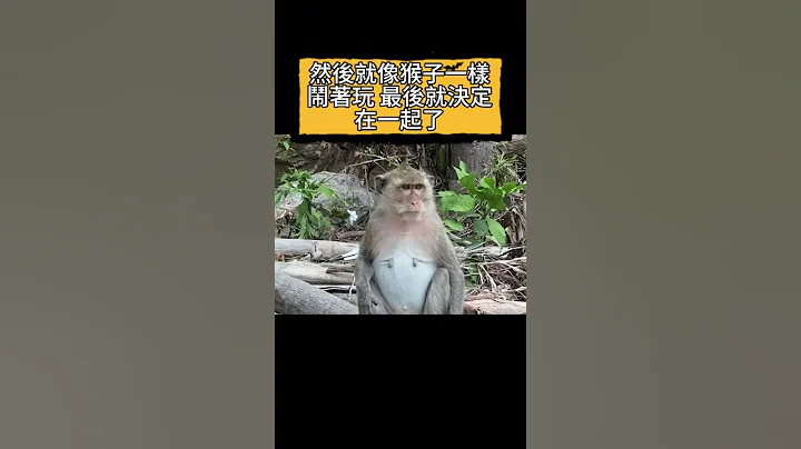 【冷笑話~夫妻篇 老實說~8 】哈哈哈~~  #shorts #笑話 #好笑 #30秒開心 - 天天要聞
