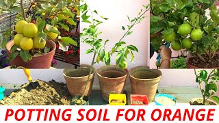 Best potting soil for orange plant, nagpur orange