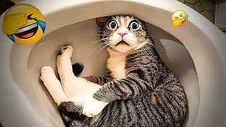 Funny Dogs, Cats and Animals Videos 2023 😎Most Trending Animal Videos #44