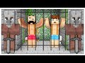 PROVA A SCAPPARE DALLA PRIGIONE DI PIETRA! - Minecraft ITA