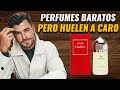 Perfumes de hombre baratos que huelen a caro || Perfumes clásicos por menos de $50