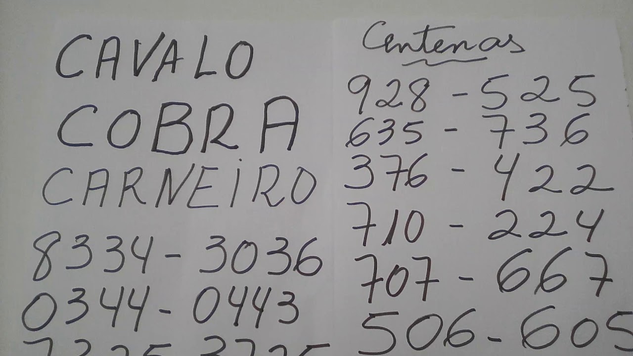 Palpites da Sonia para Federal - YouTube