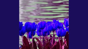 Dashing Ambience for Fresh Vibes