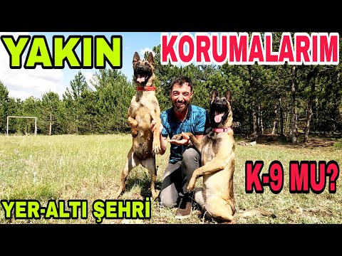 YAKIN KORUMALARIM~K-9~EFSANE KÖPEKLER~YER ALTI ŞEHRİ KEŞFİ~ÇOK DEĞERLİ SANÇAK