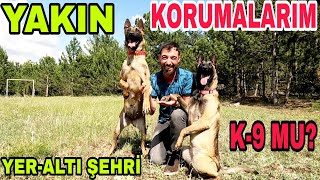 YAKIN KORUMALARIM~K-9~EFSANE KÖPEKLER~YER ALTI ŞEHRİ KEŞFİ~ÇOK DEĞERLİ SANÇAK