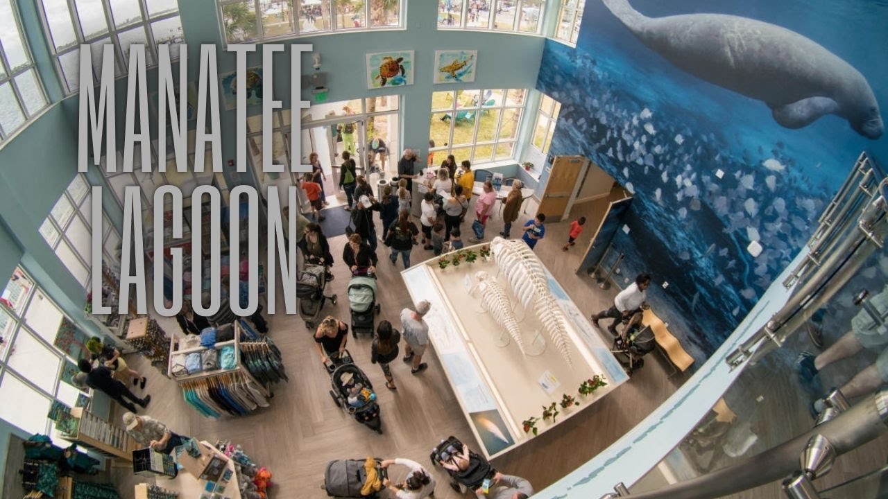 Exploring Manatee Lagoon & Snorkeling at Phil Foster Memorial Park, Riviera Beach