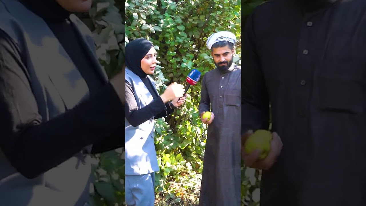 Сельская атмосфера на одной из самых известных ферм в районе Аль-Хаджадж 😍🙏