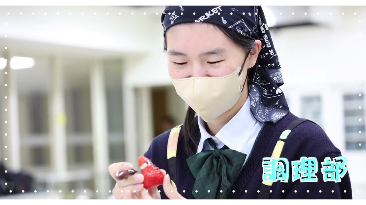 文京 学院 大学 女子 高等 学校