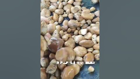 2023 Angelon new model double layer pebble optical sorter/jasmine@ajlong.cn