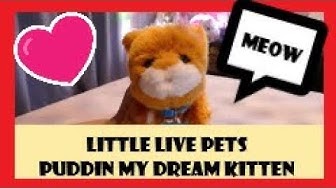 Littlelivepets Youtube