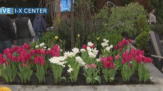 New Day Cleveland: Great Big Home and Garden Show