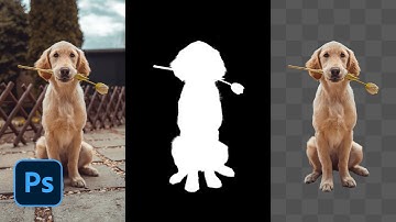 6 Tips and Tricks for Photoshop Masking Tutorial #Nucly