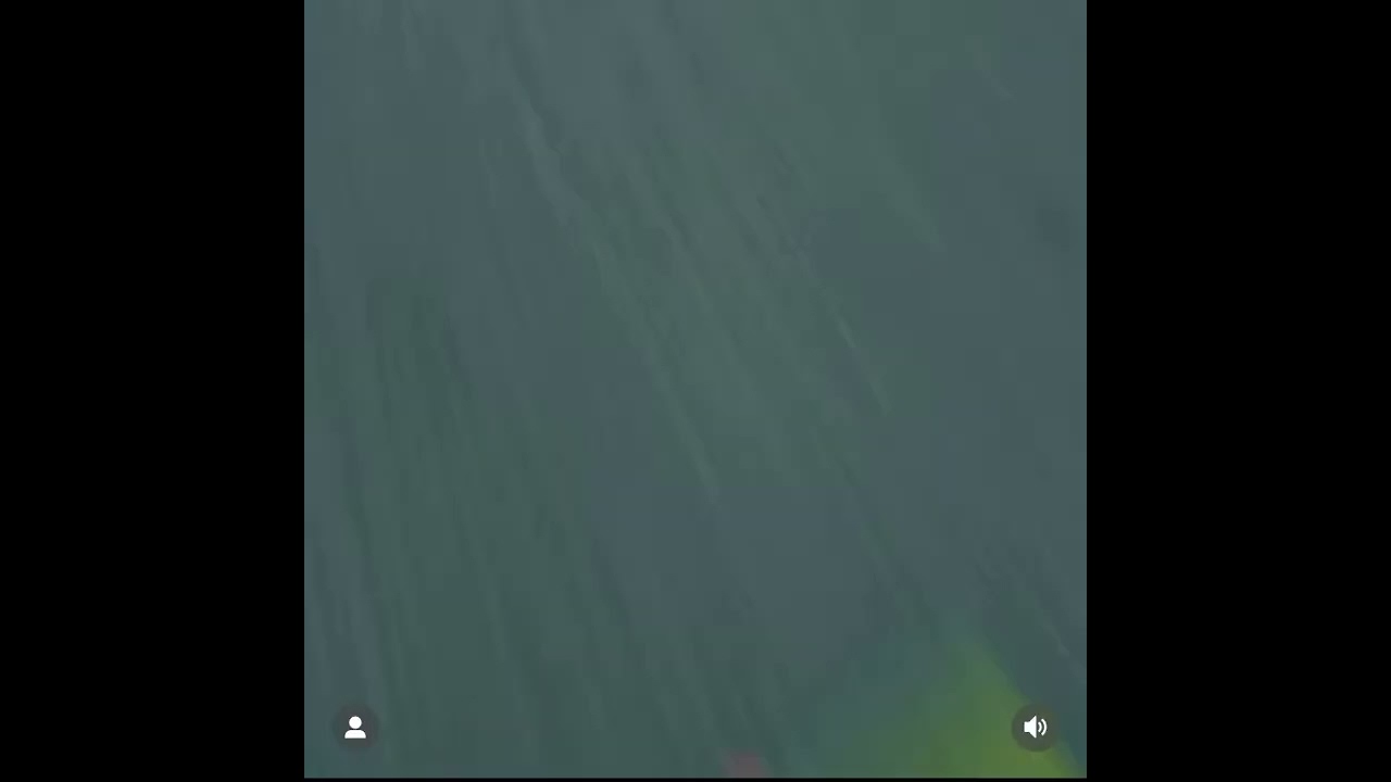 King Von Sister Kayla B Burn Nba Youngboy Flag On Video