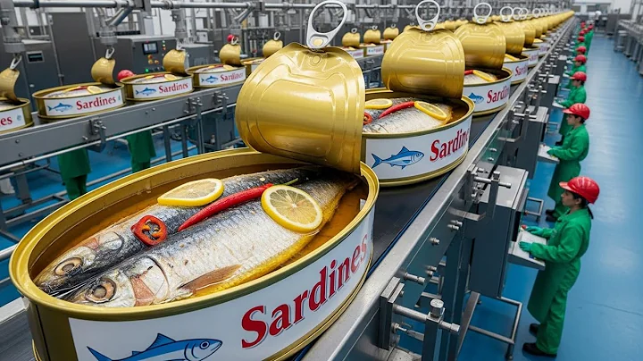 Inside the Canned Sardine Factory | From the Sea to Your Table (Full Process Tour)