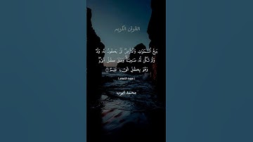 سورة الأنعام آيه ١٠١ #لايك  #quran #القرآن_الكريم#العراق #مصر #الجزائر #المغرب #السعودية #اكسبلور