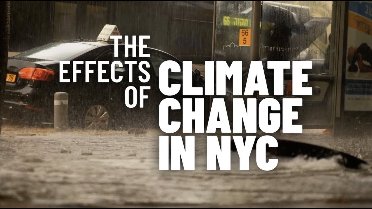 "Effects of Climate Change in New York City" - Heavy Rain Events | CUNY ...