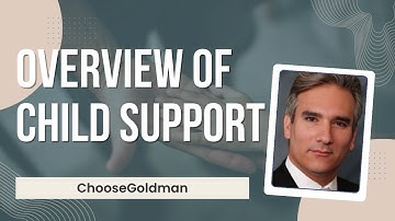 Overview of Child Support - ChooseGoldman.com