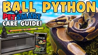 Ball Python Care! by Reptiles and Research 1,417 views 3 months ago 16 minutes