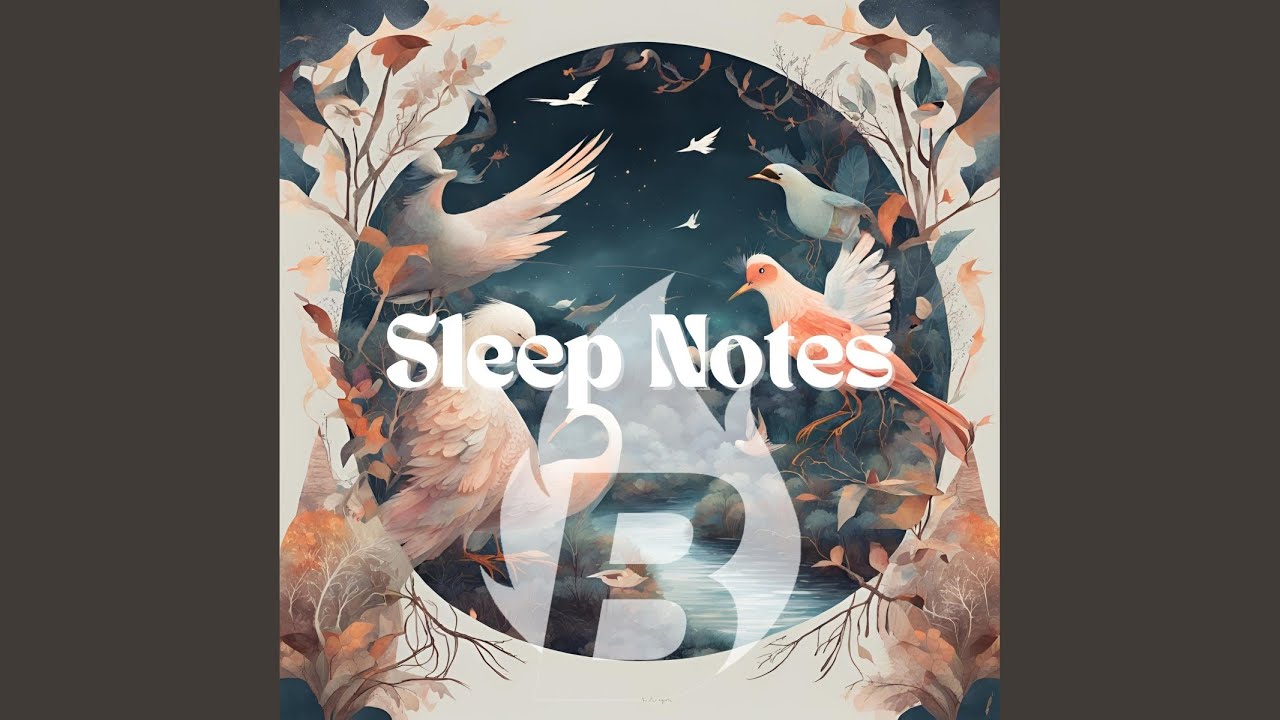 Guarda Sleep Notes su YouTube Guarda Sleep Notes su YouTube