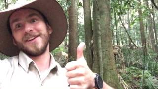 TYPES OF RAINFORESTS Tropical vs Temperate Rainforest with Ranger Jamie