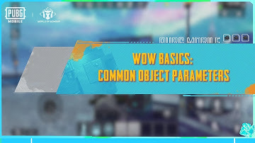 WOW basics: Common Object Parameters