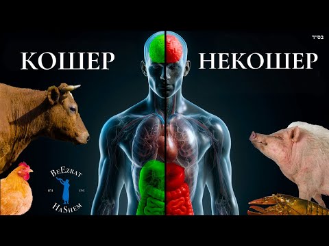 Как некошерная пища влияет на тело и душу | BH FILMS