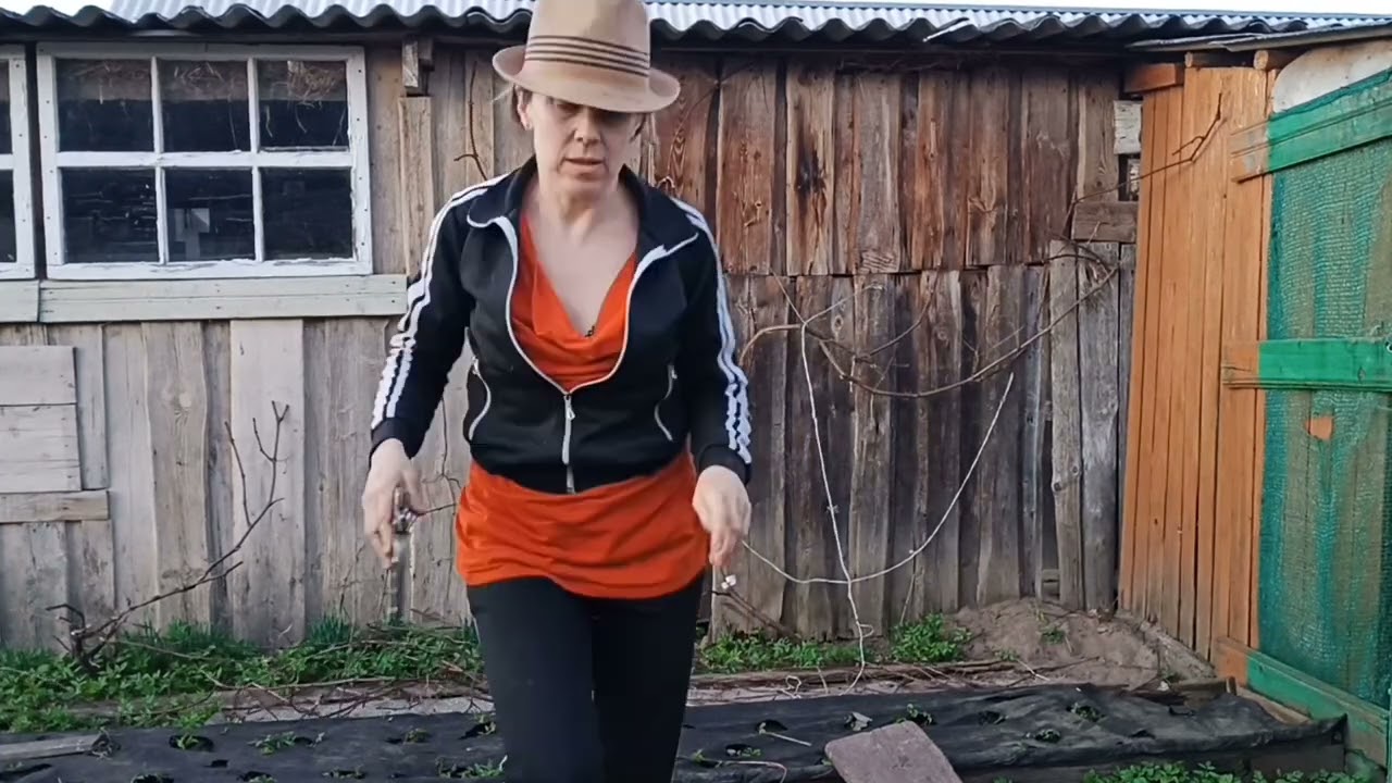 ВЛОГ: Поздняя обрезка винограда как эксперимент. Блины с козьим сыром