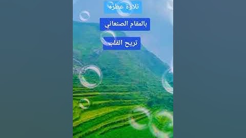 تلاوة عطره بالمقام الصنعاني