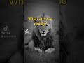 What are you doing? #motivation #mindset #resilience #warriormindset #youtube #believersmindset #fyp