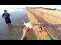 Pesca ai PREDATORI con i MICRO JIG : Una tecnica SEMPLICE e DIVERTENTE (Multi-Species Fishing)