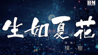 朴樹 - 生如夏花『我是這耀眼的瞬間』【動態歌詞Lyrics】