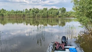 ВЕСЕННЯЯ РЫБАЛКА НА ХИЩНИКА