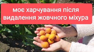 17 липня 2022 р. Натуральна їжа це шлях до здоров&#39;я ✍️🤓🤓🍓🍒🍎🍠🧅🌽