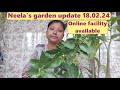 Neelas garden update 180224