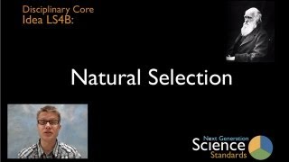 LS4B - Natural Selection