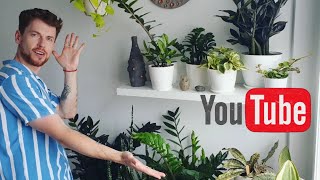 Overview of plants in the bedroom and living room. Overview of succulents. Sansevieria and more.
