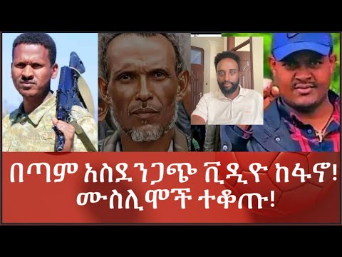 ቪዲዮ: ሜዲት መጨረሻው ዞላ መቀበል ነው?