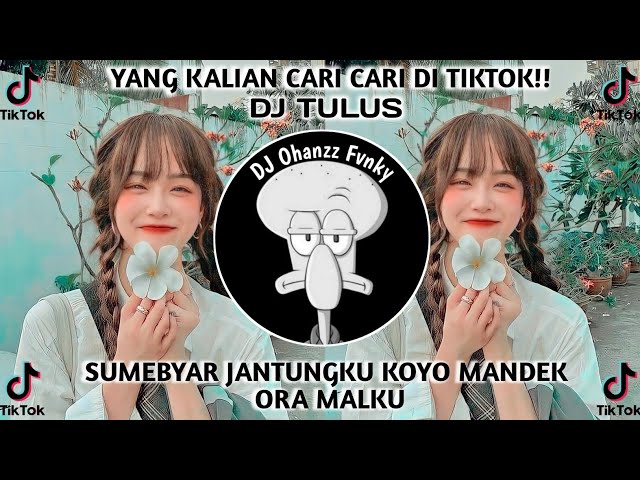 DJ TULUS SUMEBYAR JATUNGKU KOYO MANDEK ORA MLAKU viral tiktok mengkane yang kalian cari-cari!!! class=