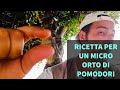 Ricetta per un Micro Orto di Pomodoro da 1 metro quadro