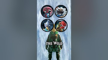 Which BOTW Champion would win in a fight?