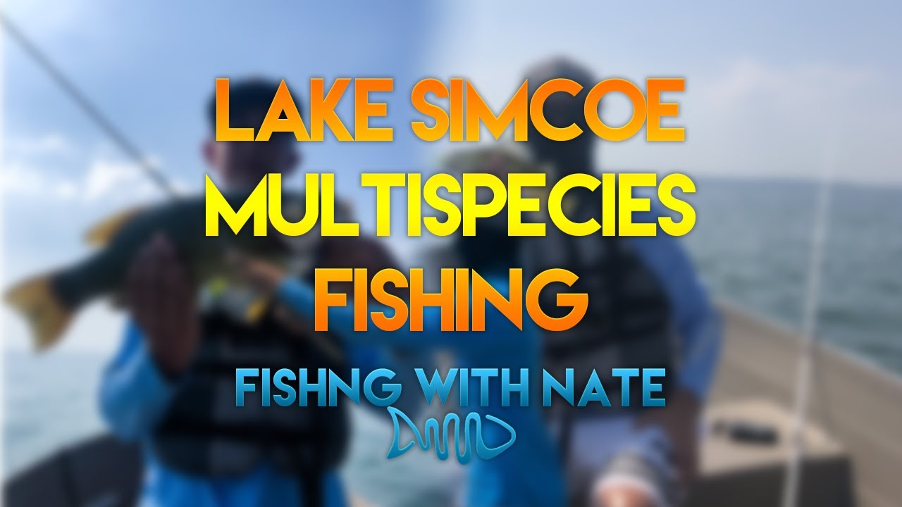 INSANE Lake Simcoe MULTISPECIES fishing! YouTube