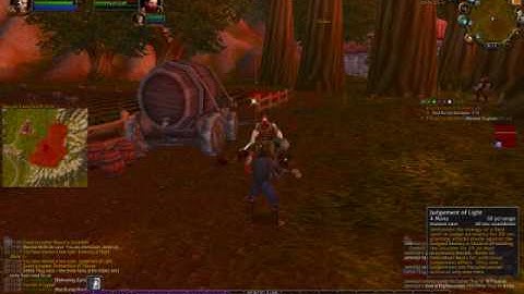 Paladin Leveling Guide Part 1 Levels 1-5 - World of Warcraft