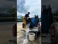 Massive Small Fish Harvest – Traditional Net Fishing and Sorting Process