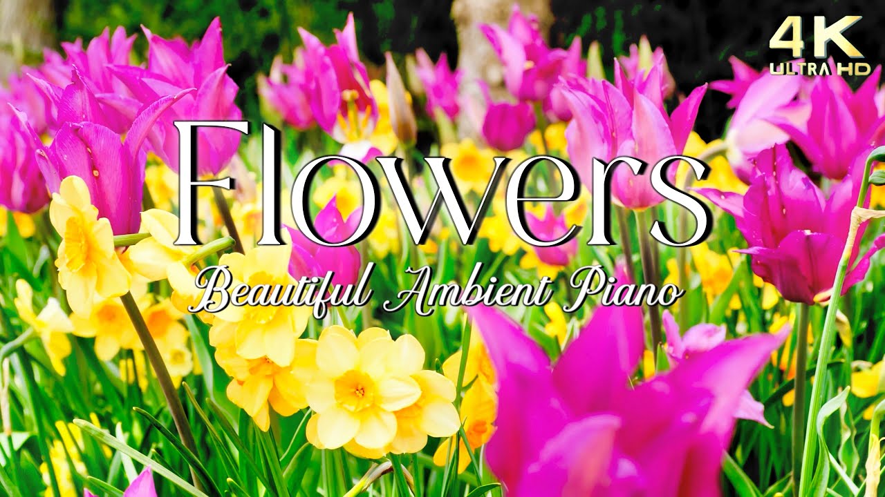 Vibrant Spring  Summer Flowers Relaxation Film   Relaxing Piano Music w Nature Sounds