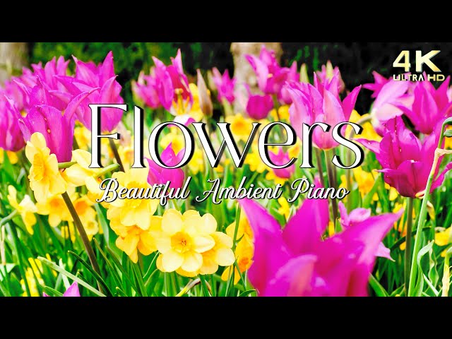 Beautiful Spring Flowers 💐 Relaxing Ambient Piano Music class=