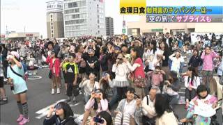 【金環日食】動物園でチンパンジーが・・・空では・・・（12/05/21）