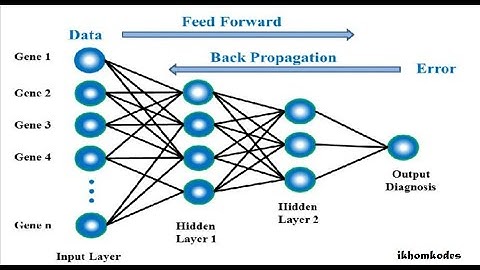 Machine Learning Week 4 Quiz Neural Networks: Representation | Andrew NG